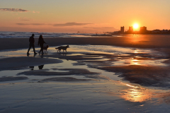 February Walk