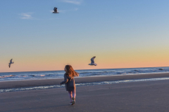 Chasing Gulls