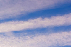 Flight of the Pelicans