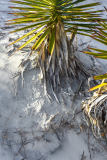 Sandscape