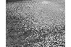 LowTideAtThePointSmall4