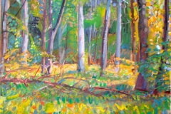 Into the Forest